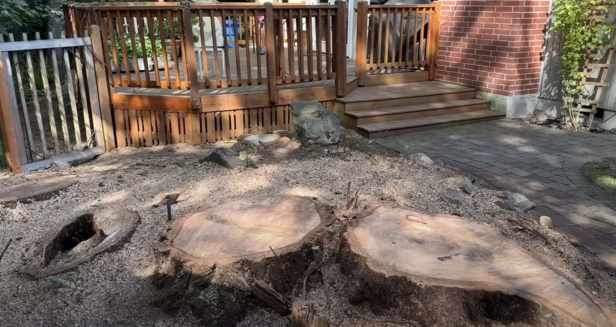 Multiple tree stumps near residential deck in Hoboken, NJ
